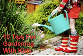10 Tips For Gardening With Kids